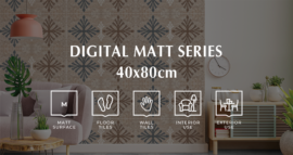 DIGITAL MATT SERIES - 40X80 - WALL TILES